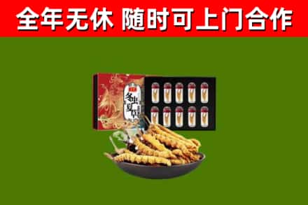 马鞍山回收冬虫夏草价格